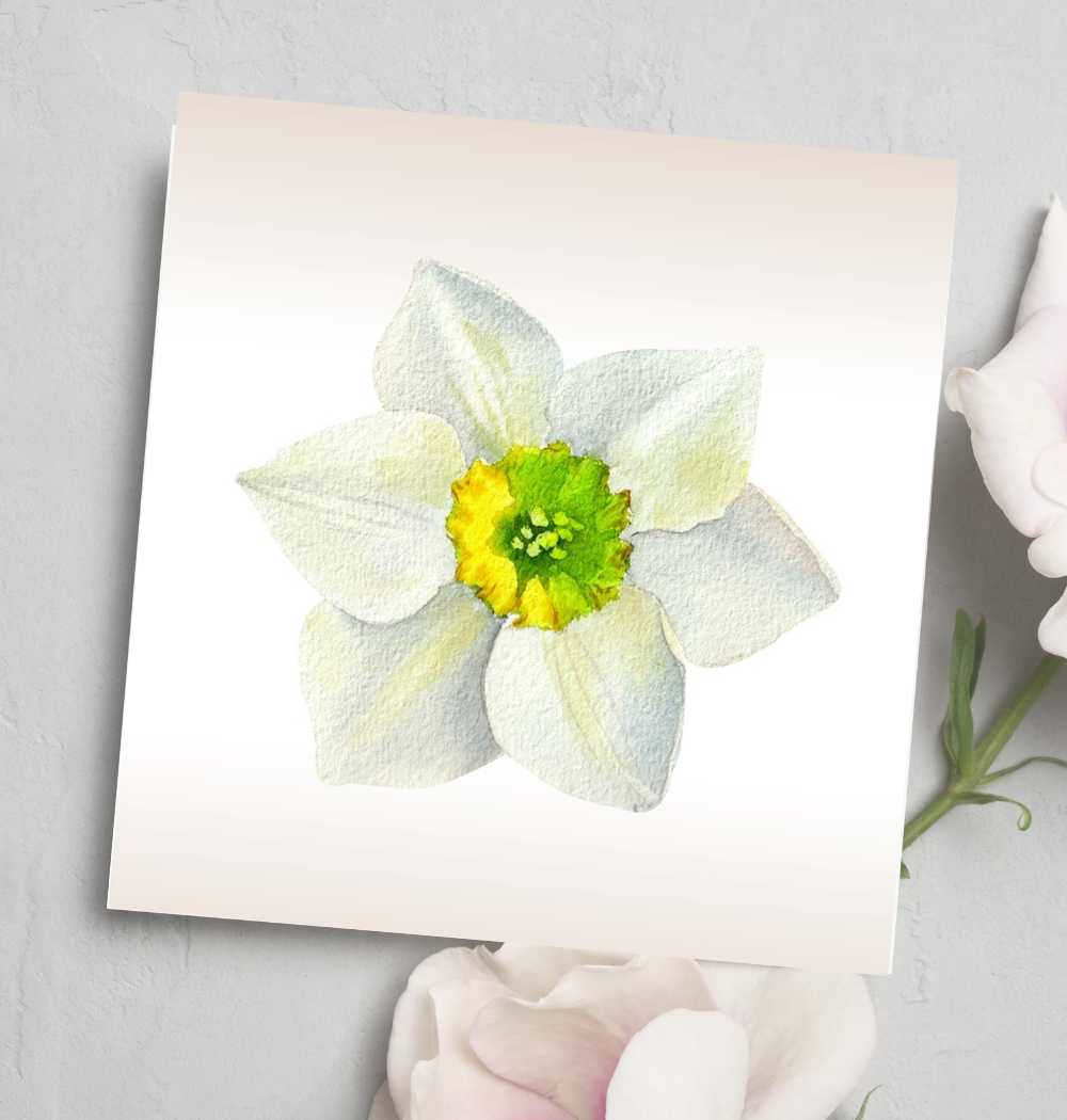 Greeting Card